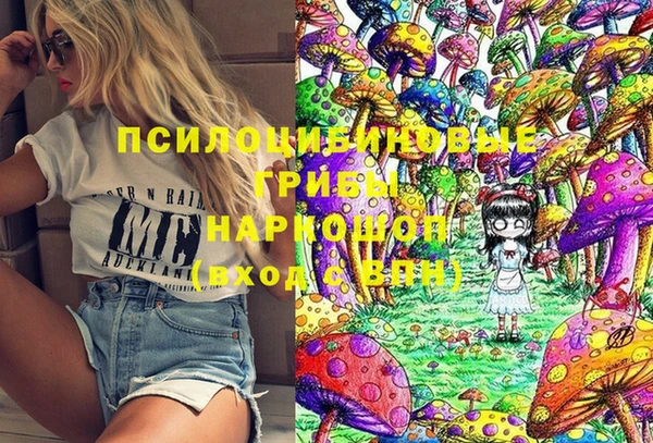 гашик Волоколамск