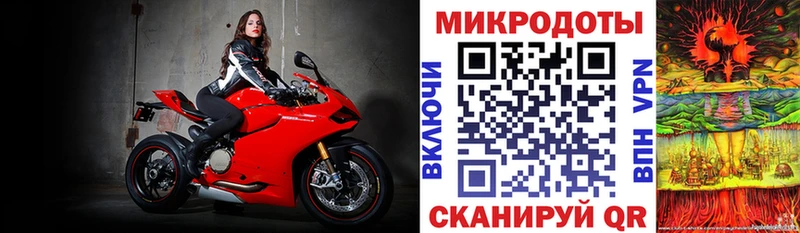 omg как зайти  Бердск  Галлюциногенные грибы прущие грибы 