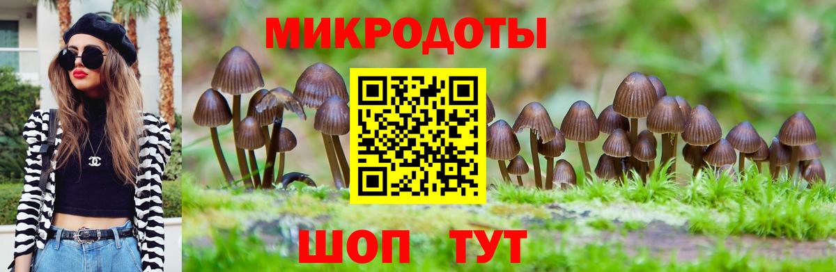 Бердск  Галлюциногенные грибы ЛСД  Вход с VPN  Псилоцибиновые грибы MAGIC MUSHROOMS 