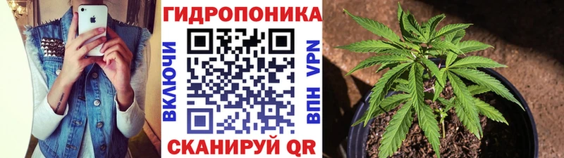 дарк нет наркотические препараты  Бердск  Бошки марихуана White Widow 